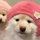 @ruaaa0452