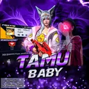 @your_tamu_0