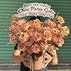 1997florist_hoatuoisg