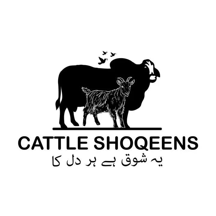 @cattleshoqeens