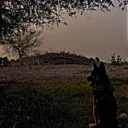 @ashthegsd0