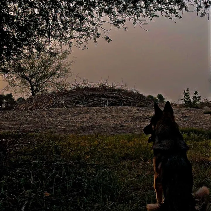 @ashthegsd0