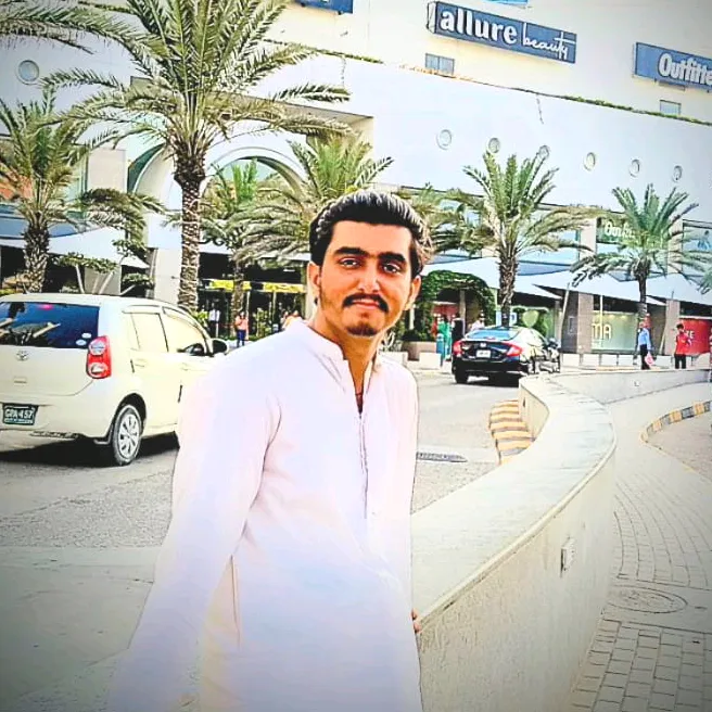 @alihyderpalh485