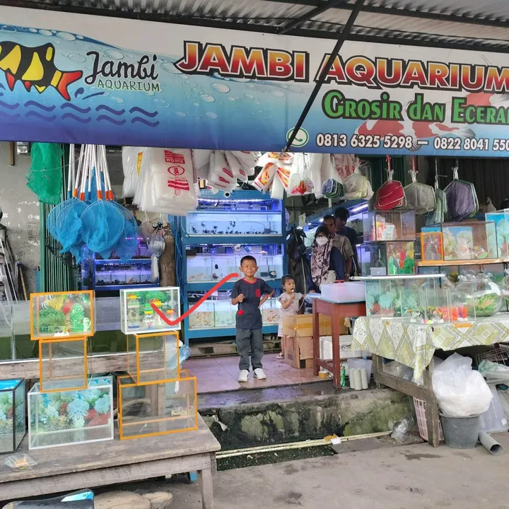 @unijambi