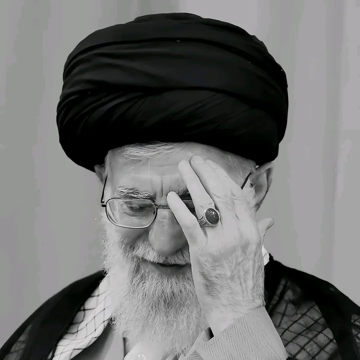 @shaheenhussain313
