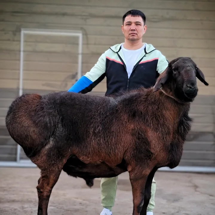 kuanysh_myktybaev