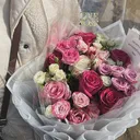 @ii23_x2