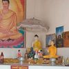 udayangani.dharam