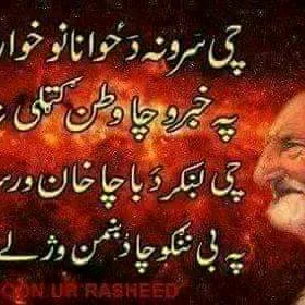 anpmardan35
