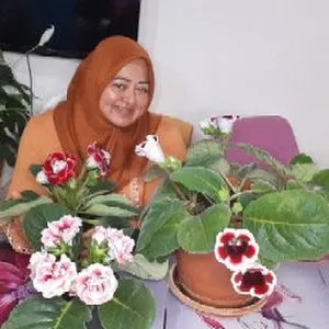 gulayh55