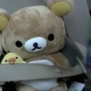@rreismine