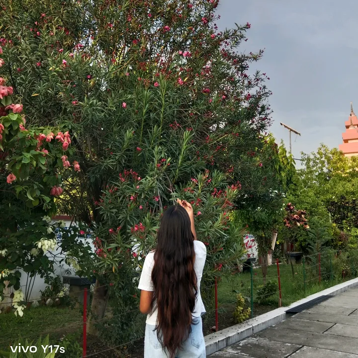 susmitasingh012