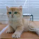 @kdhbl7