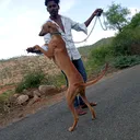 @manjumdkmanjumdk