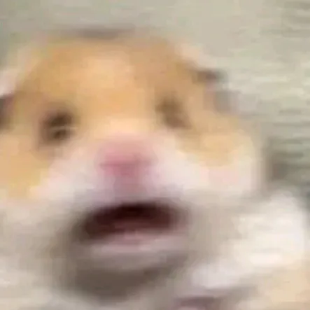 jiwoovesch