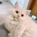 @ruhhiiiii6