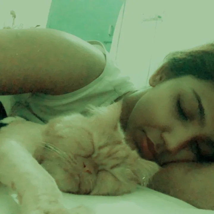 aliyashaikh14
