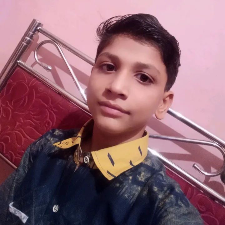 @aloknayak.962