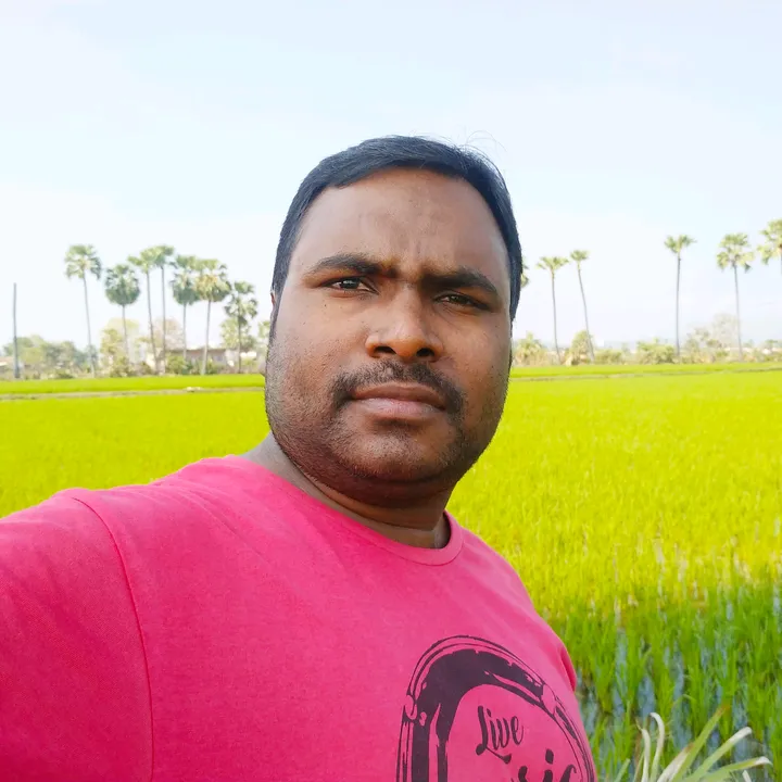 @user97783830