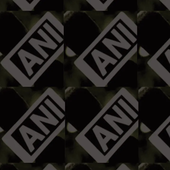 aninews