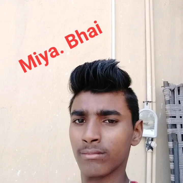 @miya.bhai.ro