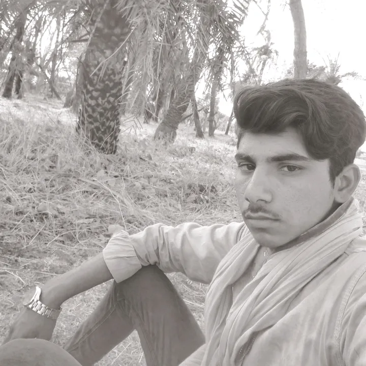 user2160782184844