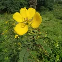 @srigokul9042