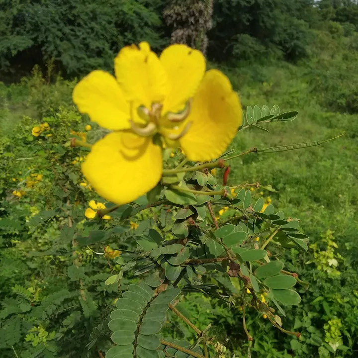 @srigokul9042
