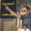 mushiqureshi