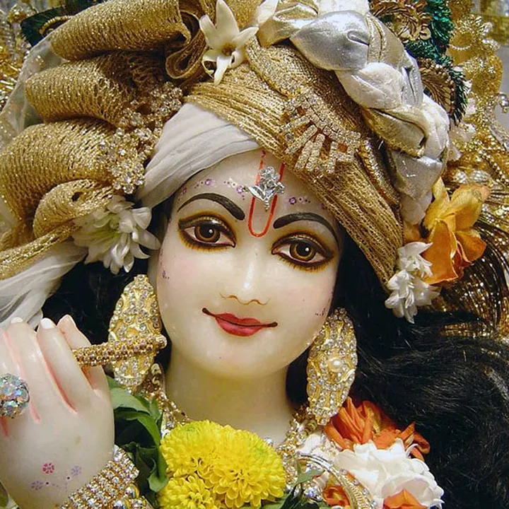 @anjalijaiswal1784