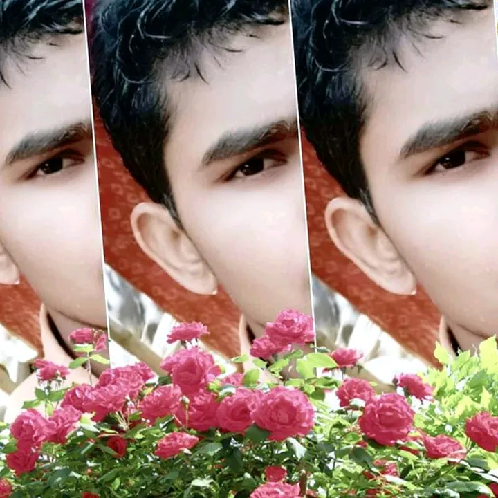 @88182253avilove