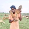 vallapuumesh