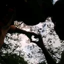 @pmprabhavathi