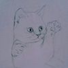 micazz.izach