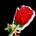 @rajijose88