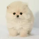 @userd0mm0bhdg6
