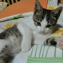 @mie_my60