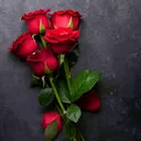@shabana1776