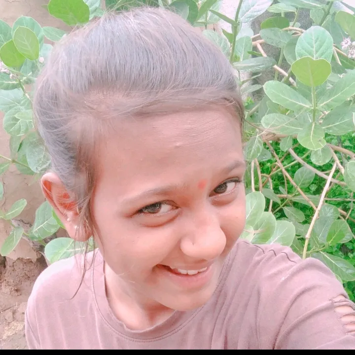 shapu_king_143