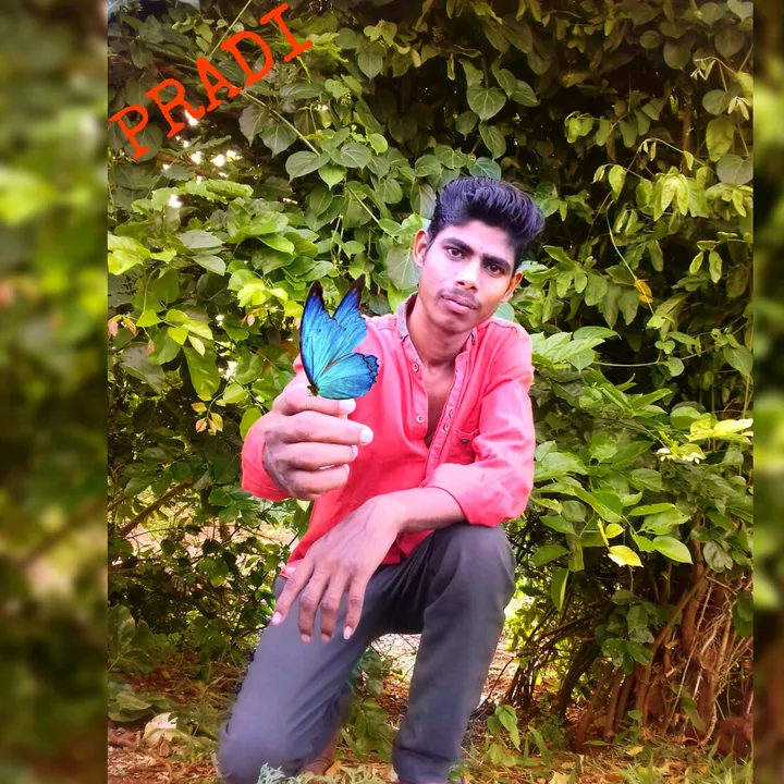 @pradeepdpradi