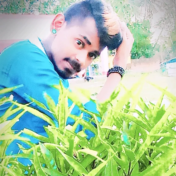 @pinkuamalik798