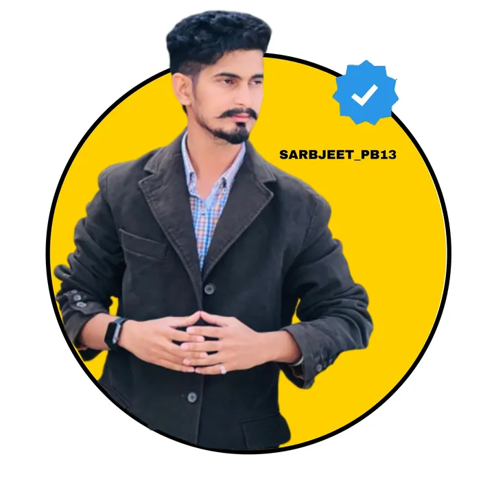 sarbjeet_pb13