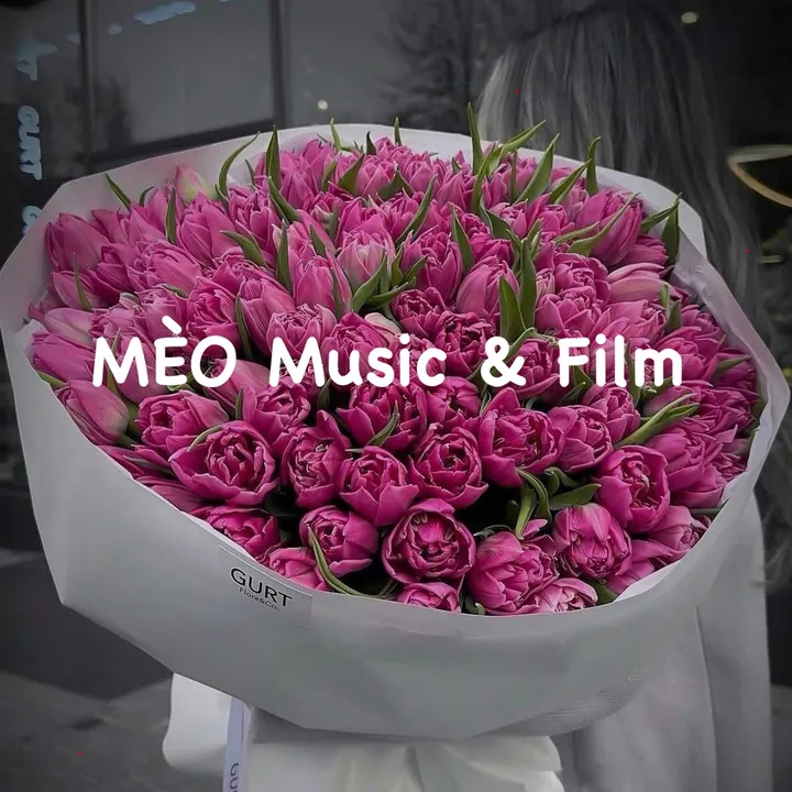 meo_meu
