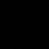 black_taurus
