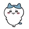 q_ayu_0719