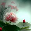 tot.hon_hom.qua0894