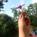 @chaparrita..191