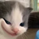@giabauwq7dm