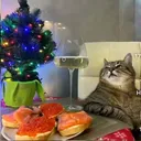 @poloydid
