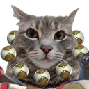 @wingnight_ow